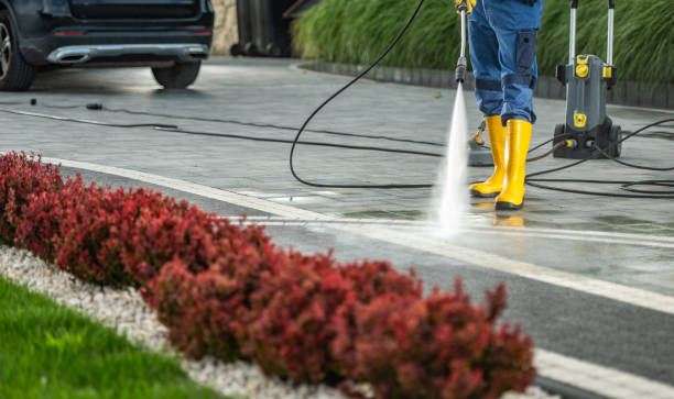 Local Pressure Washing Services in Little Cypress, TX