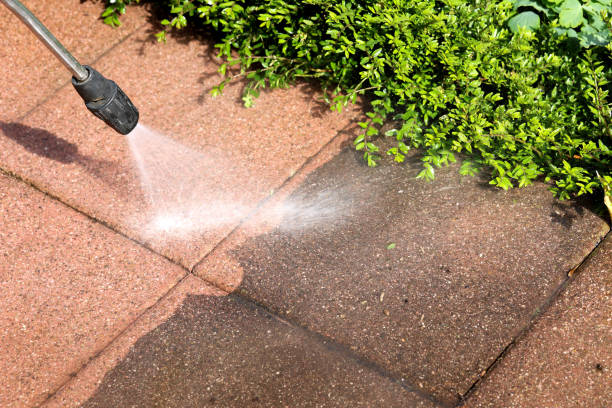 Best Pressure Washing Driveway  in Little Cypress, TX